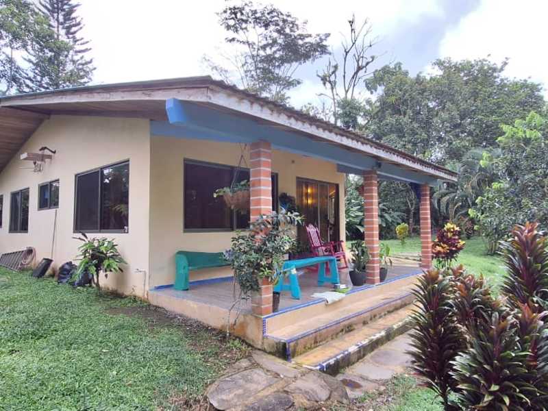 Beautiful Art Home in La Fortuna MOTIVATED SELLER, La Fortuna